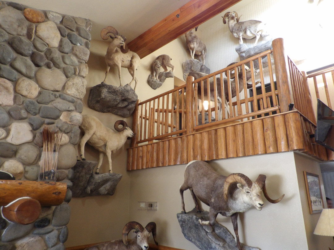 AmericInn by Wyndham Cody主图