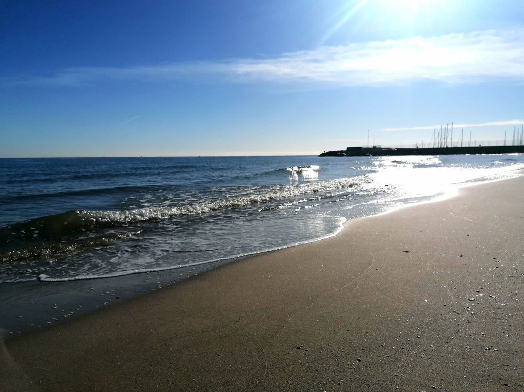 Platja De Canet D'en Berenguer景点图片