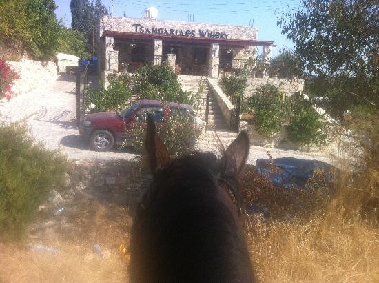 Amargeti Equestrian Club-Amargeti必去景点