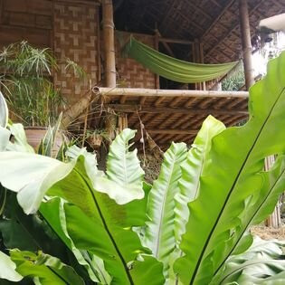 Art Khamu Homestay主图