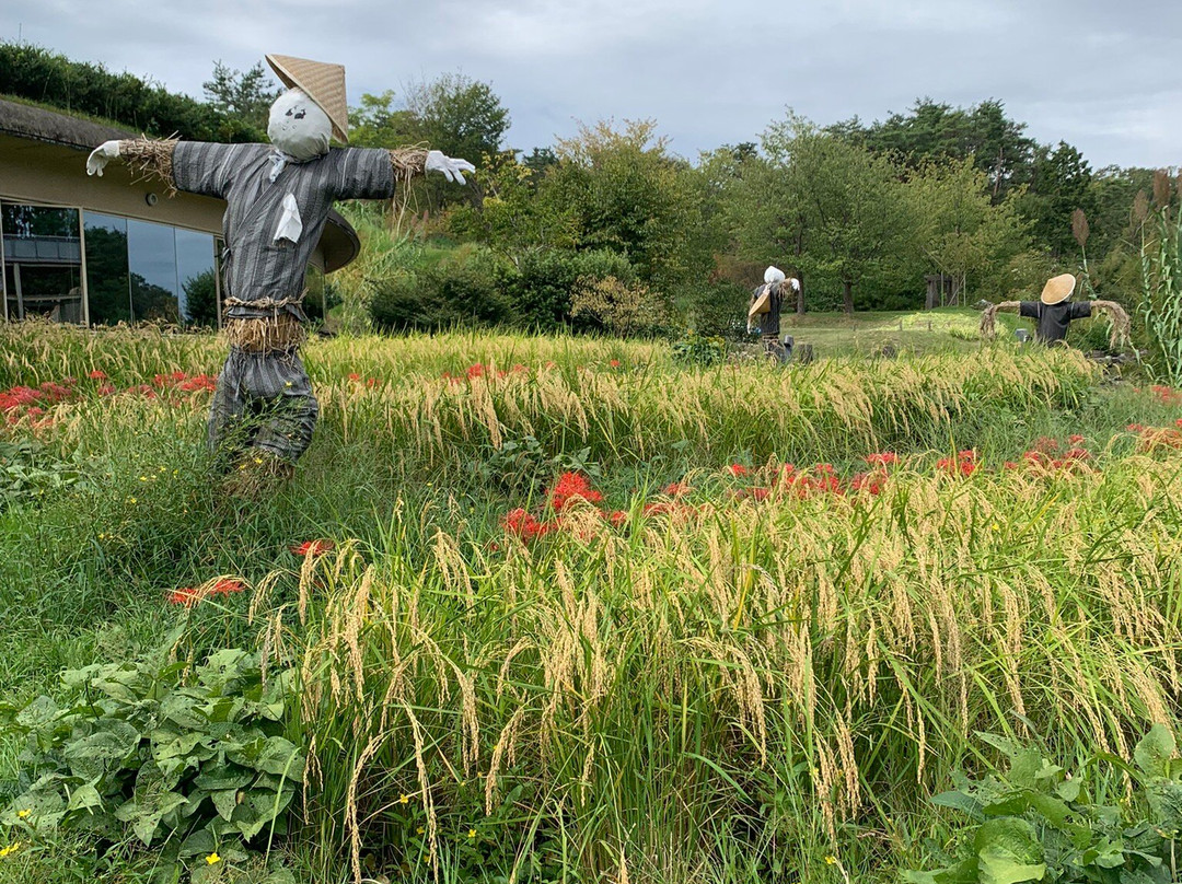 Keihanna Memorial Park-精华町必去景点