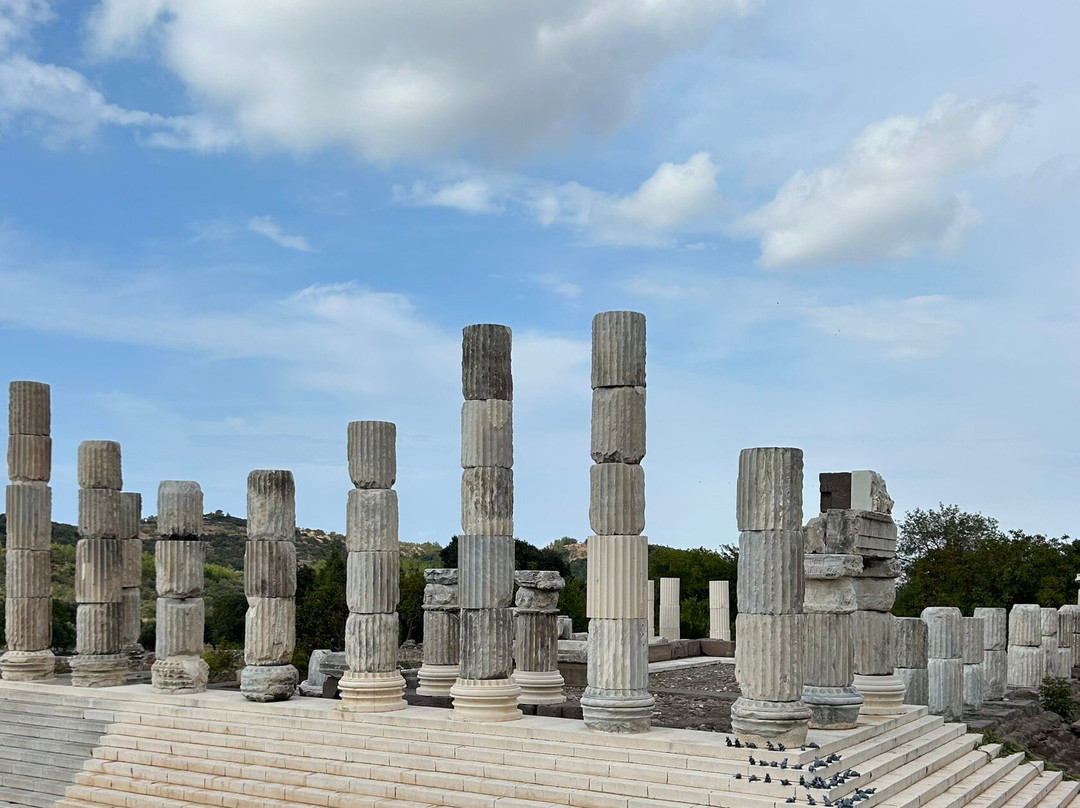 Apollon Symintheion Ruins景点图片