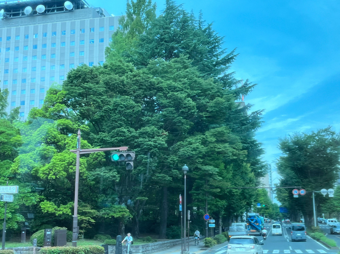 定禅寺大道•榉树林-仙台市必去景点