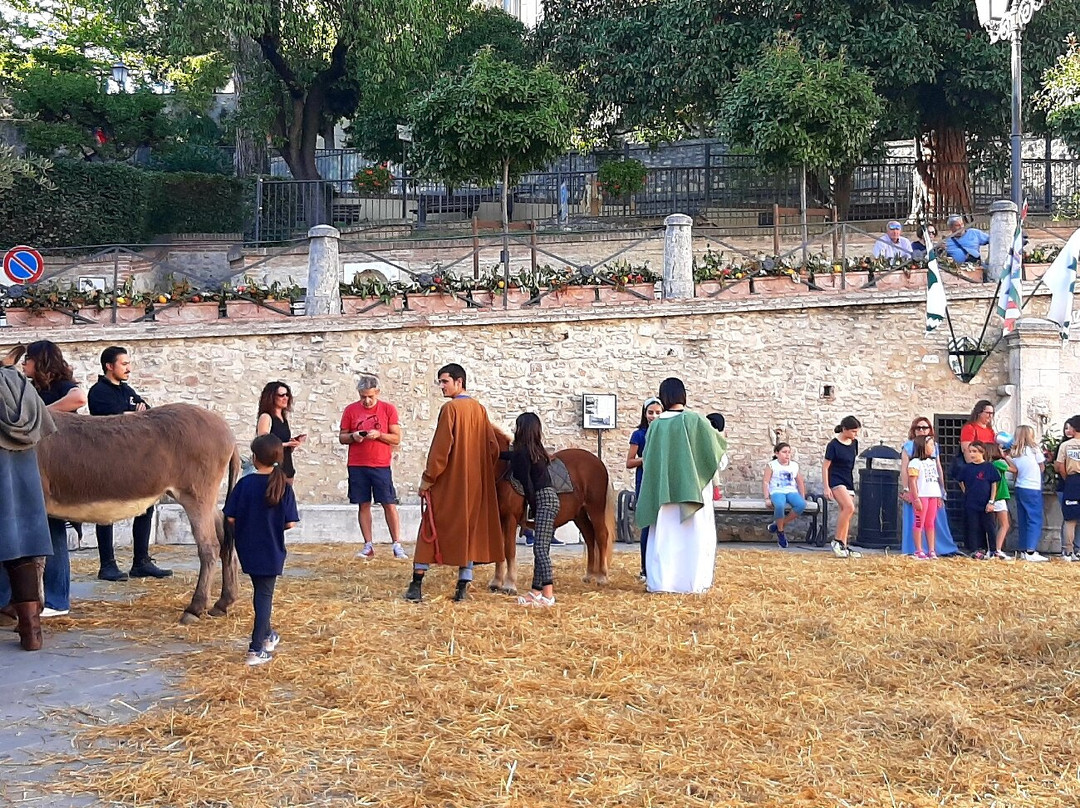 Piazza San Francesco景点图片