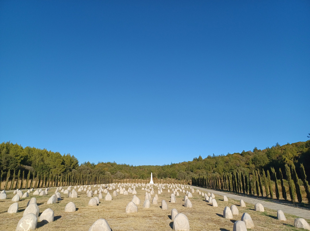 Gelibolu Mevlevihanesi景点图片