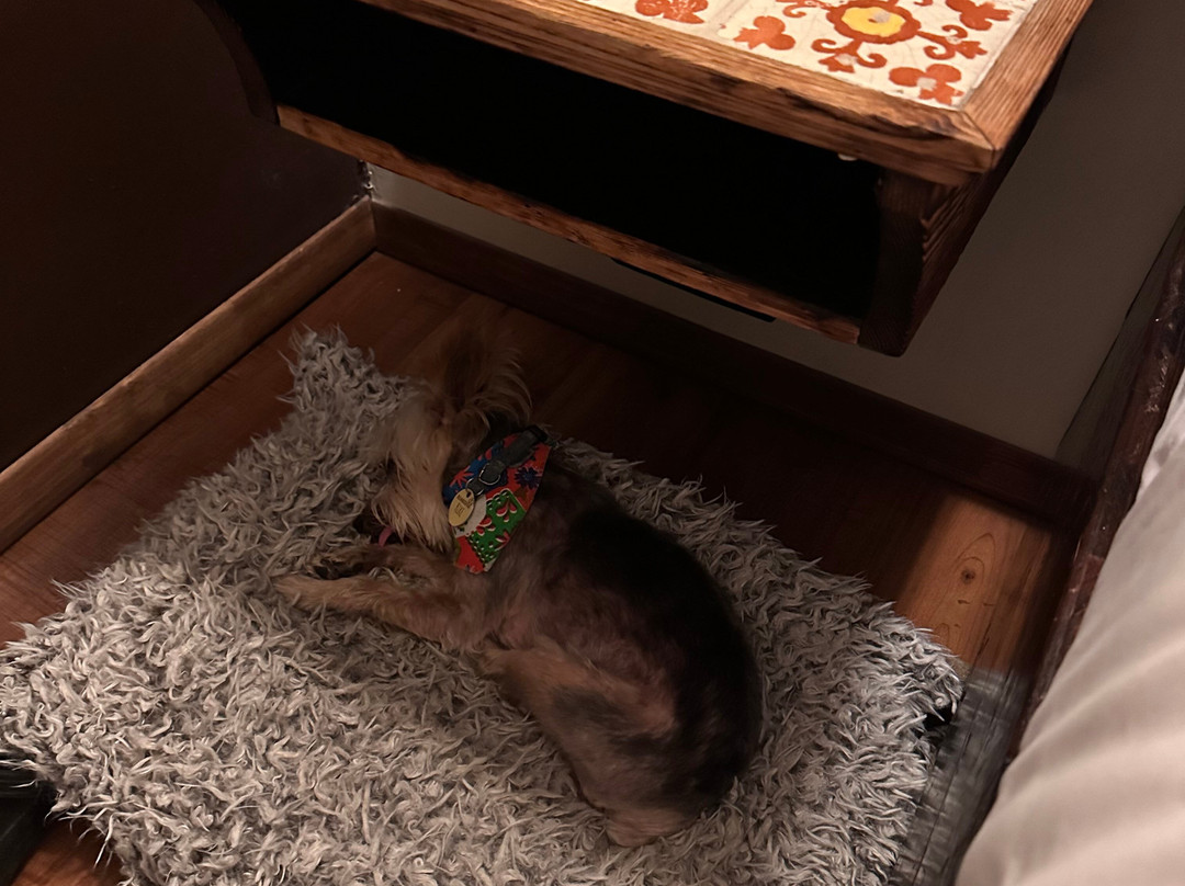 Best Western El Cid主图