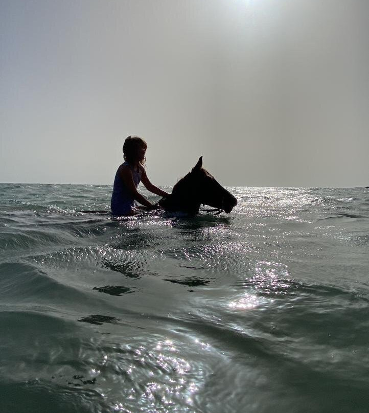 Ranch Yassmina Djerba La Douce景点图片