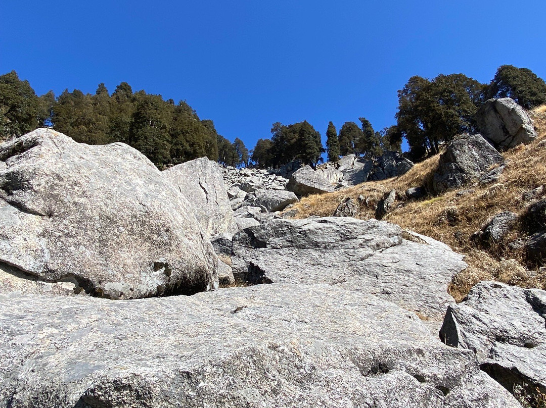 Manu Adventures India-达兰萨拉必去景点