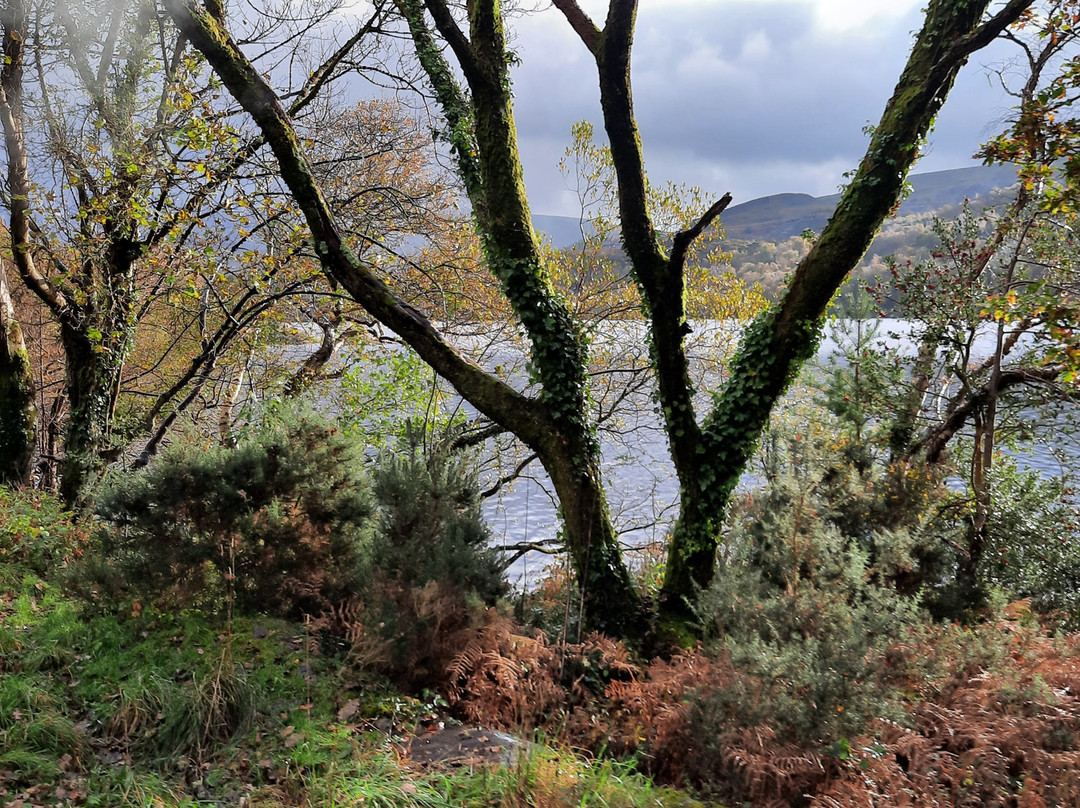 Padarn Country Park景点图片