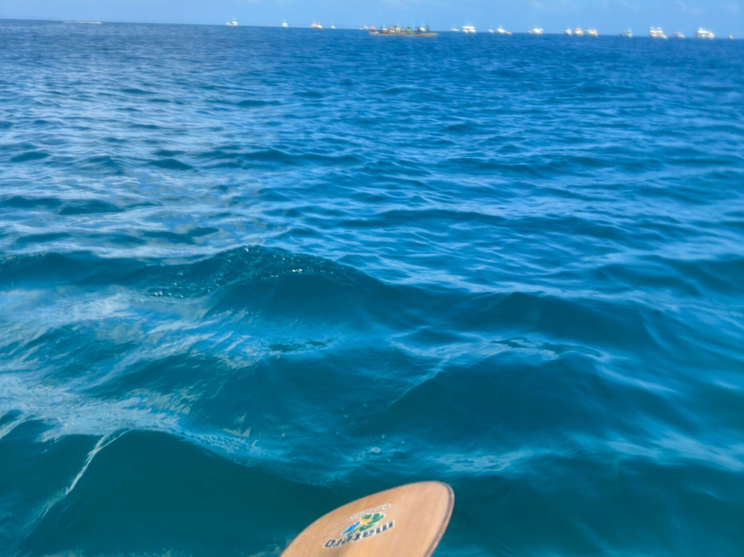 FDino Noronha-费尔南多-迪诺罗尼亚群岛必去景点