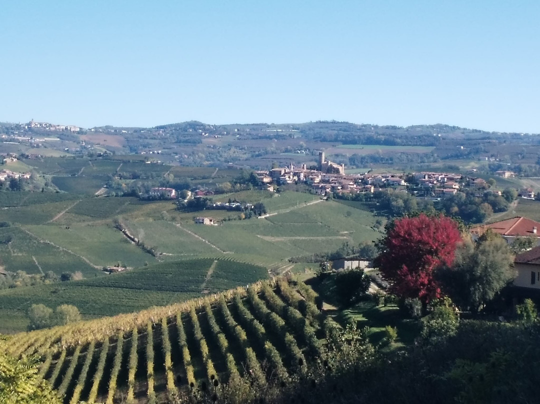 Cantina Comunale di La Morra-拉莫拉必去景点