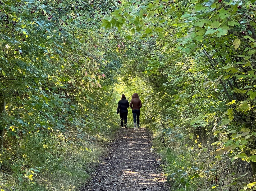 SHENLEY PARK-Shenley必去景点