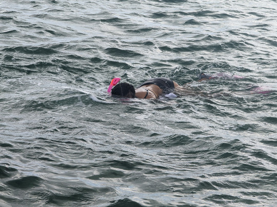 Tours of Key West Land and Sea-基韦斯特必去景点