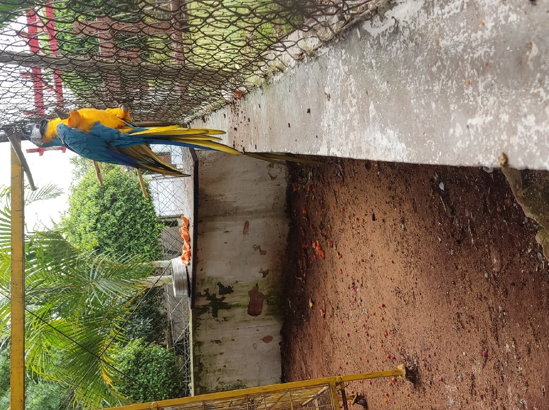 Villa Verde Hotel主图