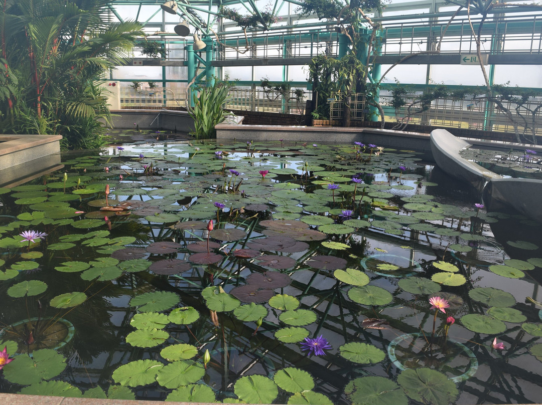 Aquatic Plants Garden Mizunomori-草津市必去景点