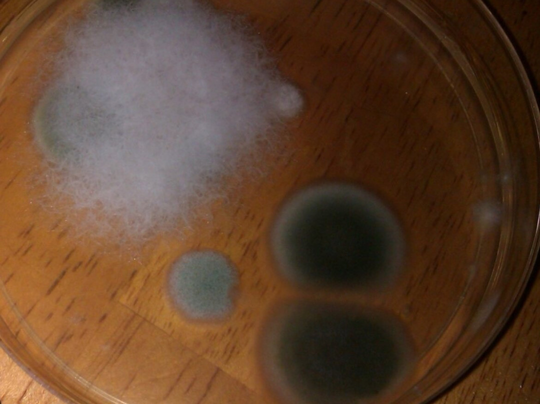 Extended Stay America Select Suites - Lake Worth主图