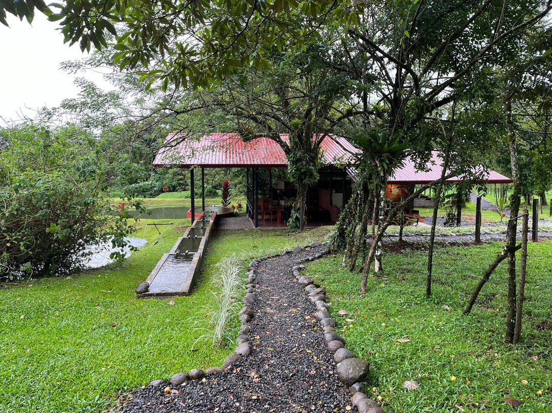 Mei Tai Cacao Lodge主图