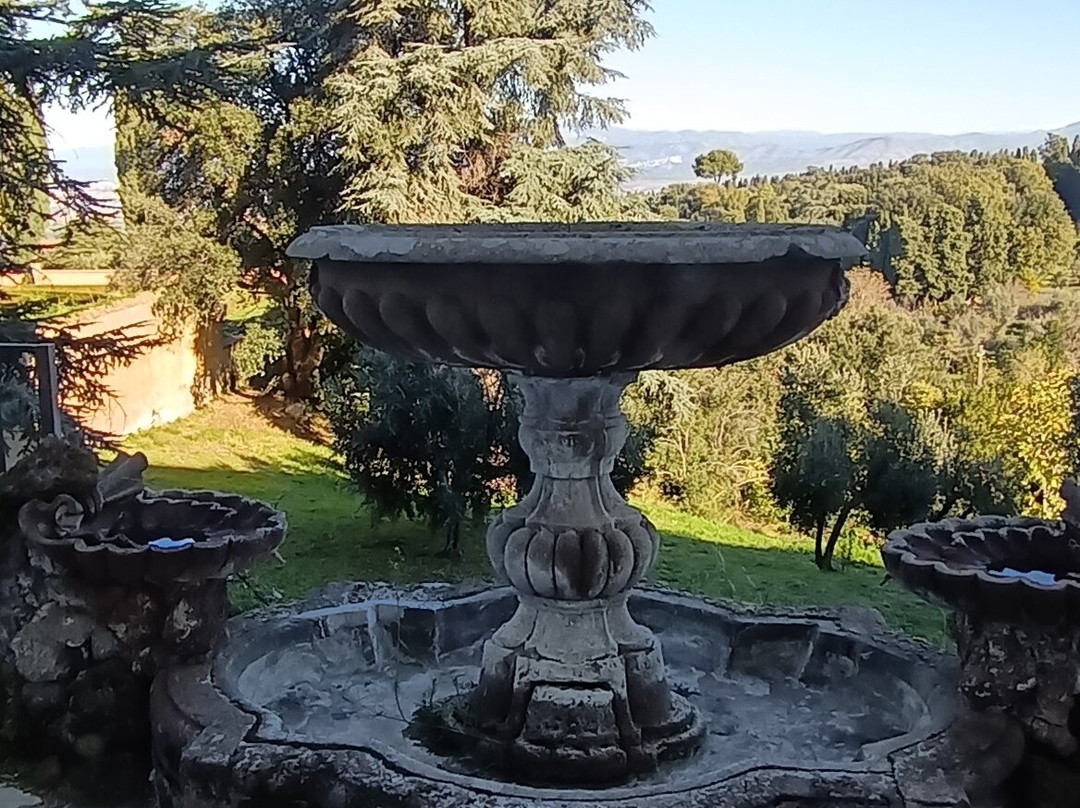 Villa Falconieri景点图片