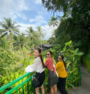 Asia Bali Tropical-沙努尔必去景点