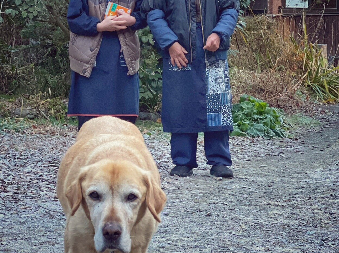 Minshuku Heikeso主图