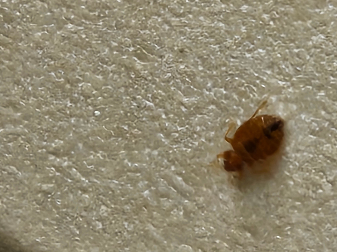 泰森斯角威斯汀酒店主图