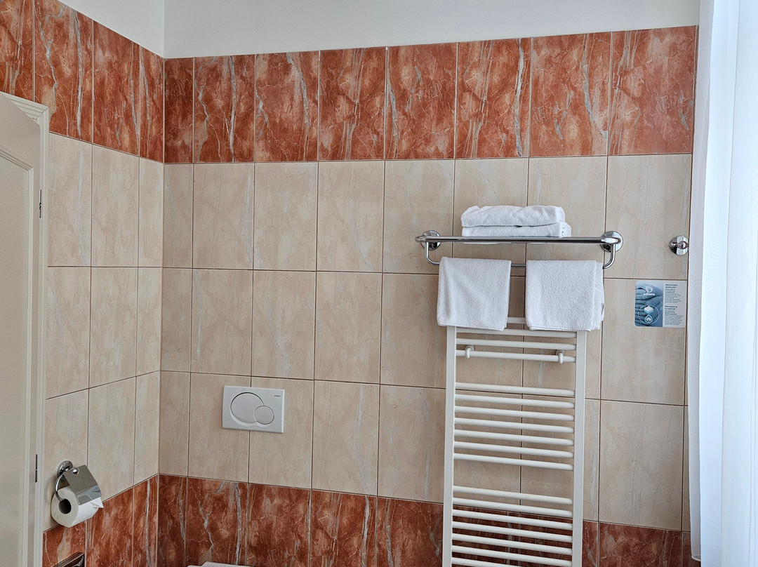 Ensana Centrální Lázně Health Spa Hotel主图