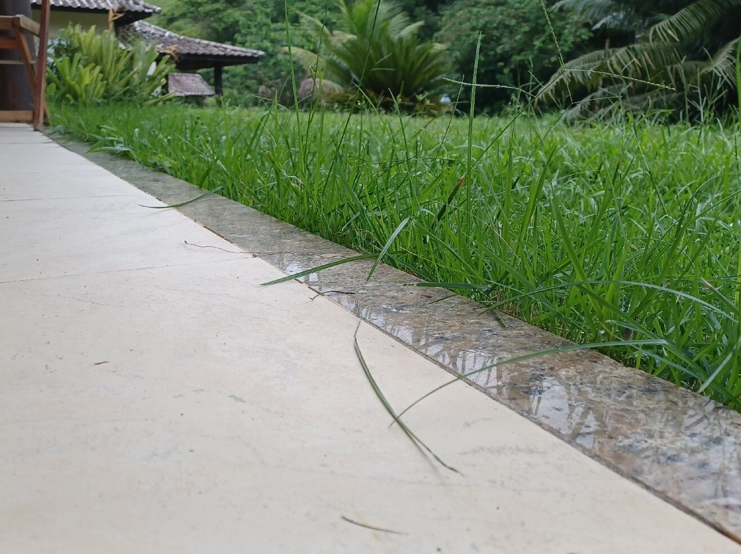 Hotel Pousada Bambuzal主图