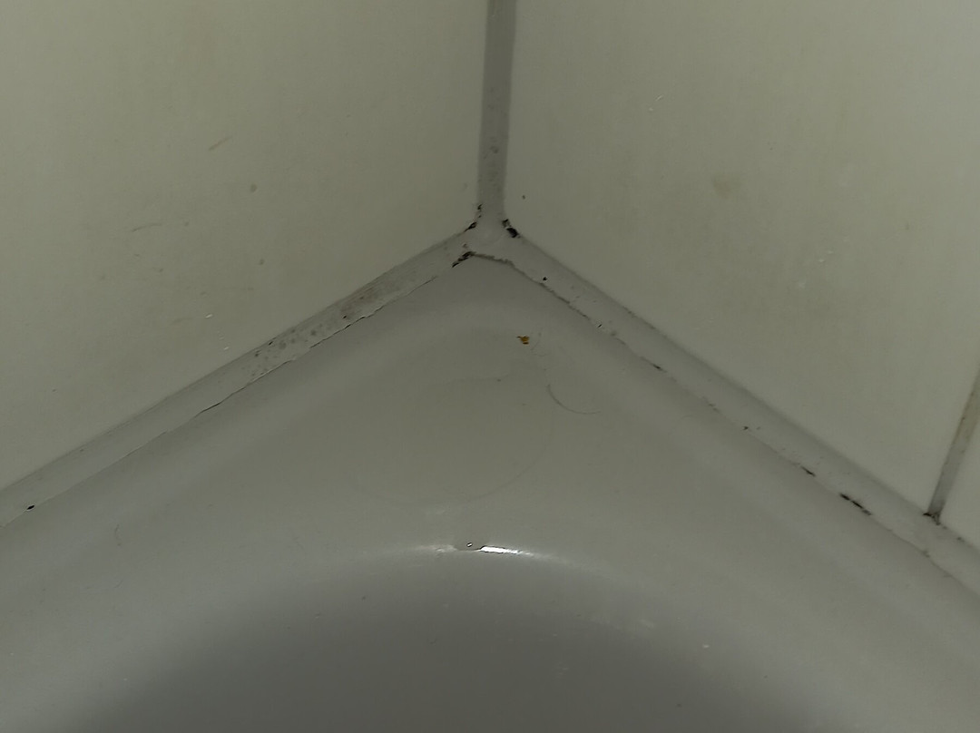 Rheydter Residenz主图