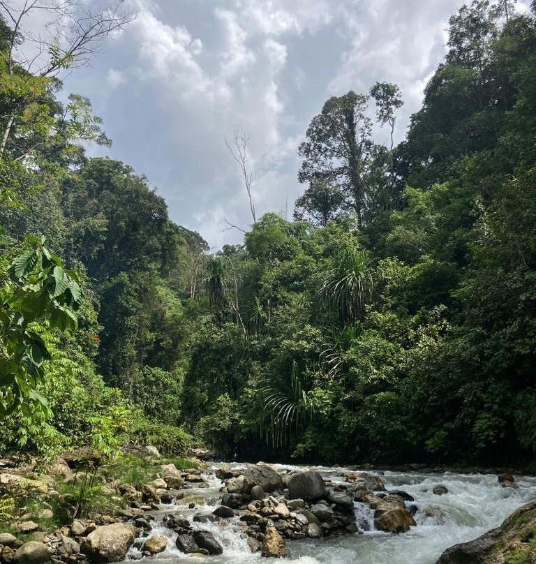 Ketambe Jungle Experience with Iwan and Team-Ketambe必去景点
