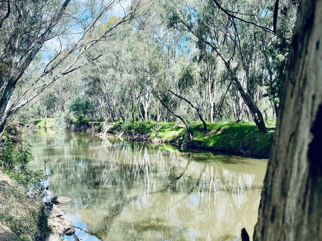 Frank Garth Reserve-Wangaratta必去景点