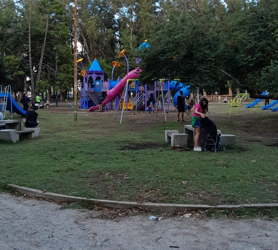 Parque Miguel Lillo景点图片