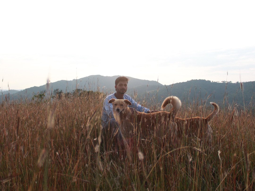 Misty Mountains Homestay主图