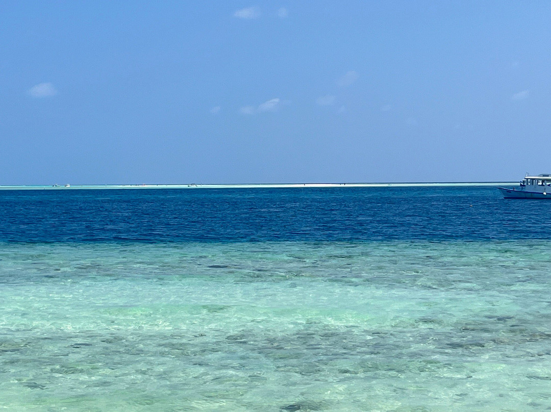 Summer Vibes Beach Front主图