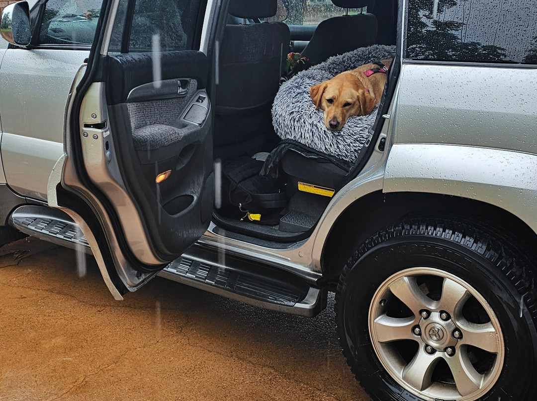 Contour Hotel Katherine主图