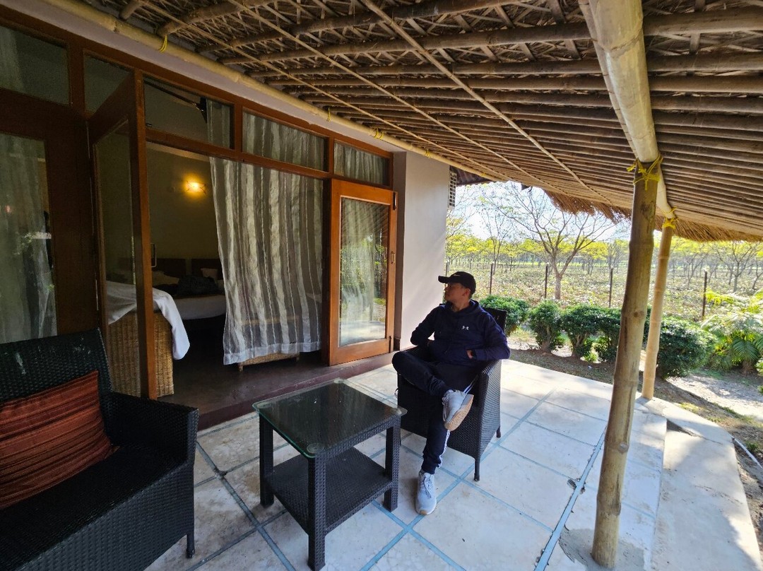 Musa Jungle Retreat主图