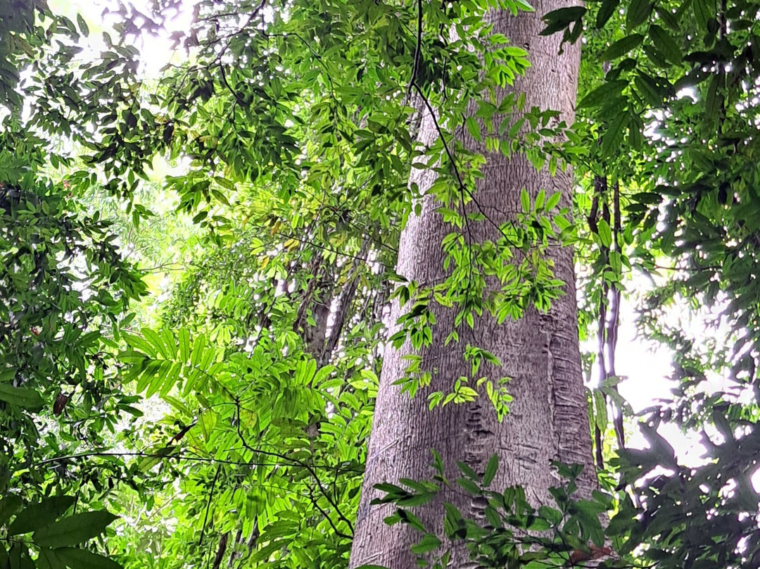 Khao Pra Bang Kharm Wildlife Sanctuary景点图片