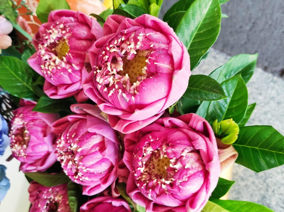 Wat Sangkhathan-暖武里必去景点