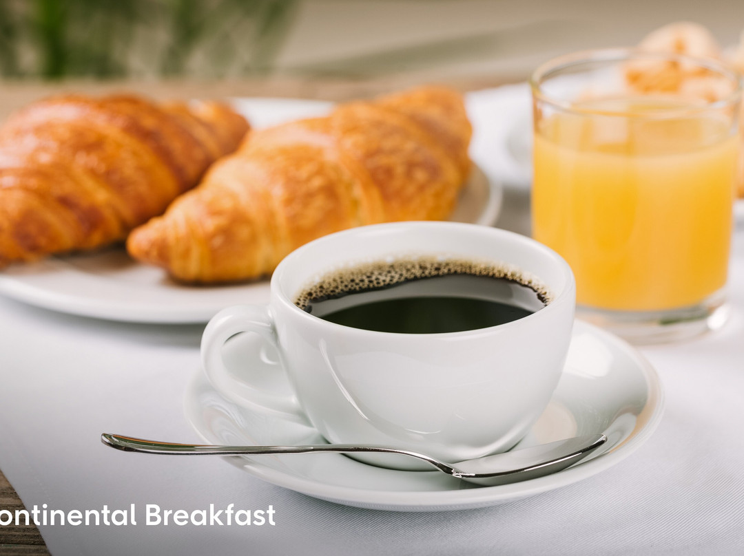 罗切斯不纳皇家酒店主图