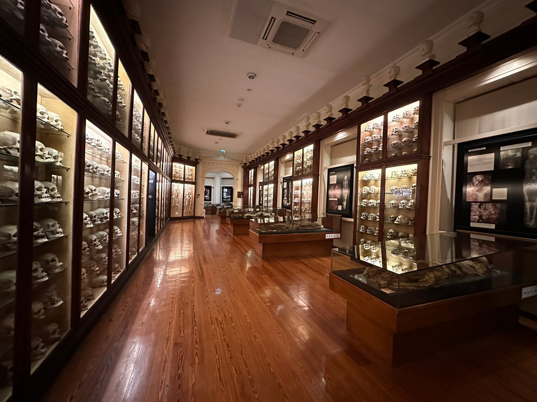 El Museo Canario景点图片