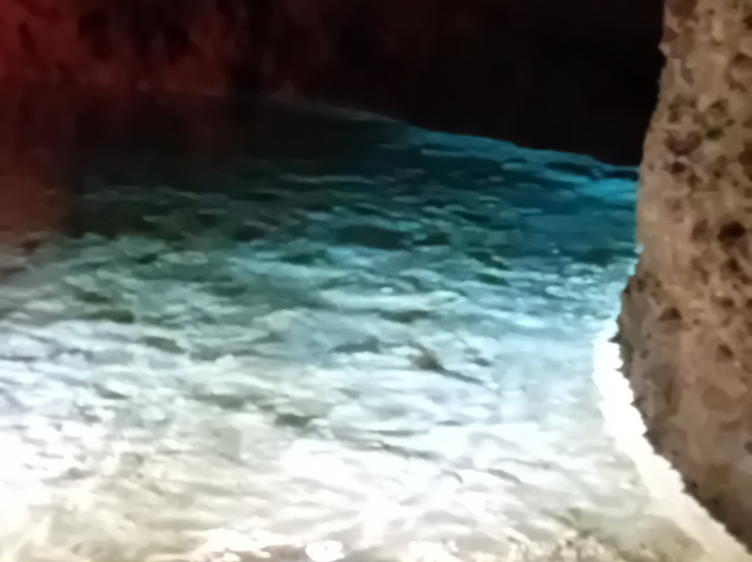 Beautiful Barbados Tours & Excursions Ltd景点图片