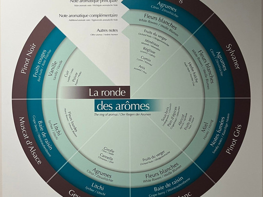 Musée des Vins d'Alsace-科尔马必去景点