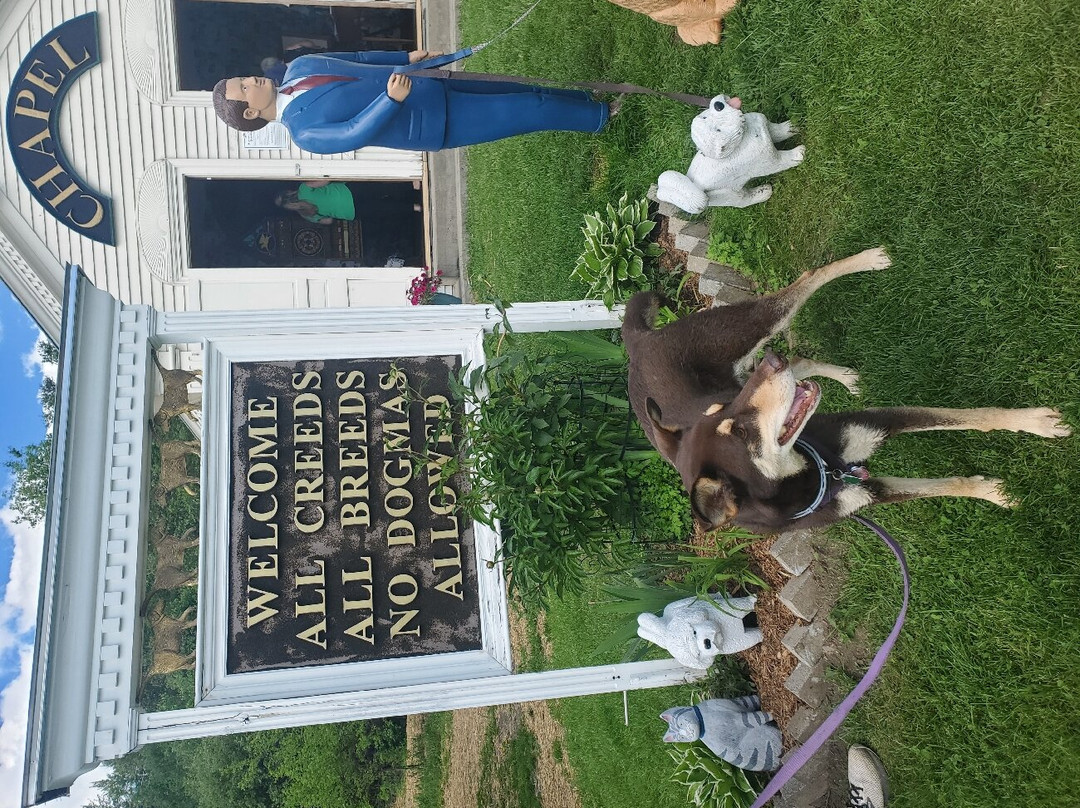 Dog Mountain Home of Stephen Huneck Gallery-圣约翰斯伯里必去景点