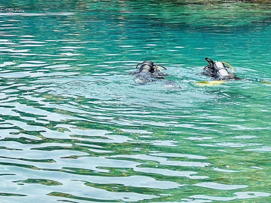 Diving Centre Blue Dolphin景点图片