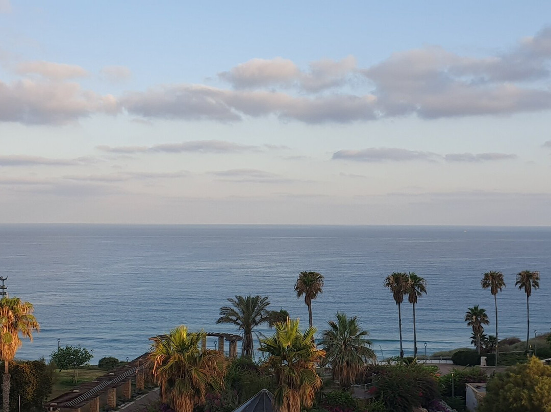 David Tower Hotel主图