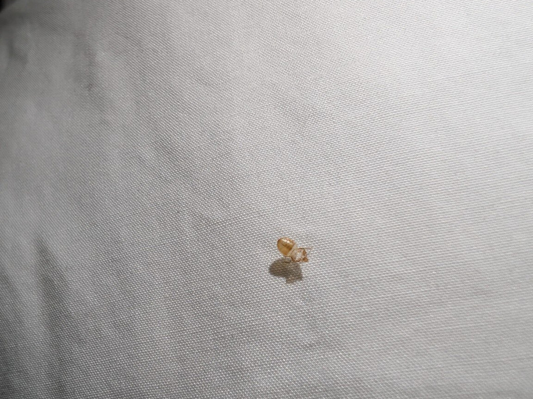 Hampton Inn & Suites Denver Littleton主图