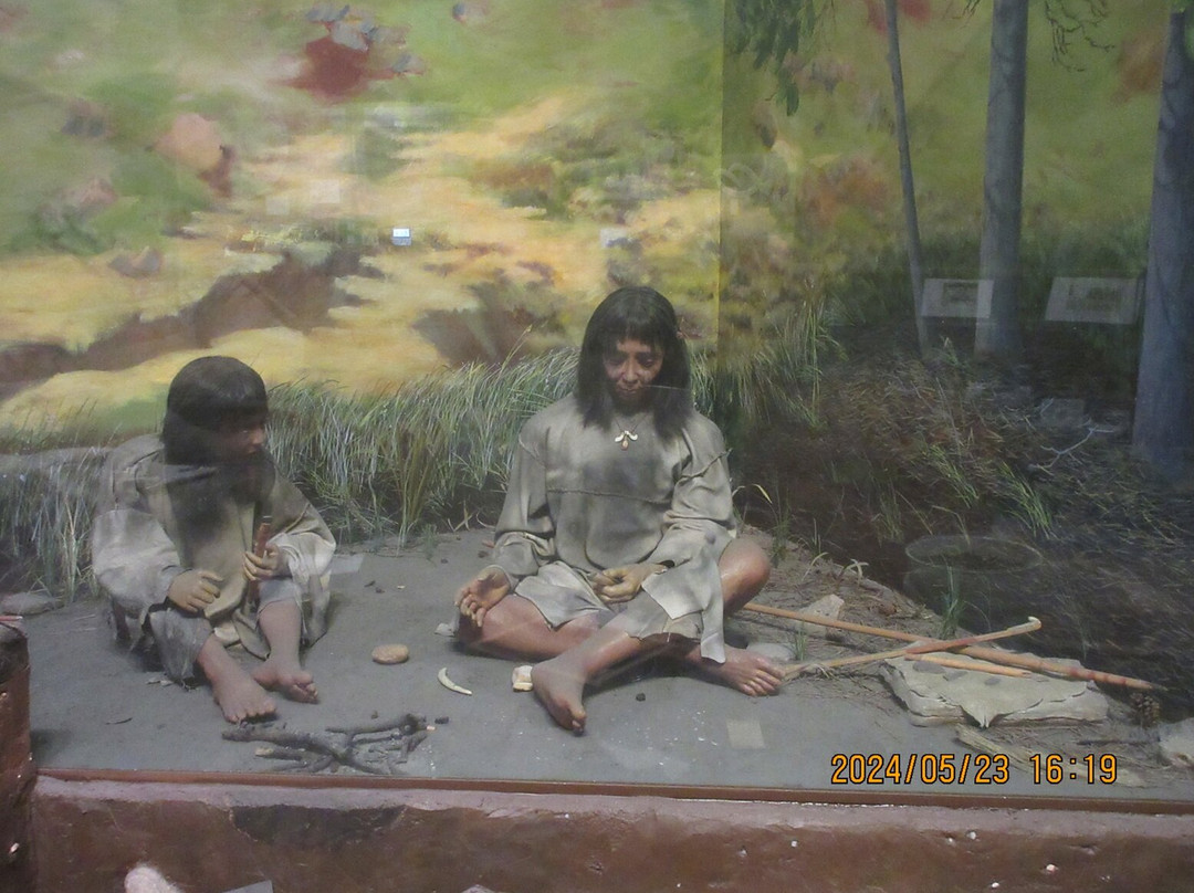 The Journey Museum景点图片