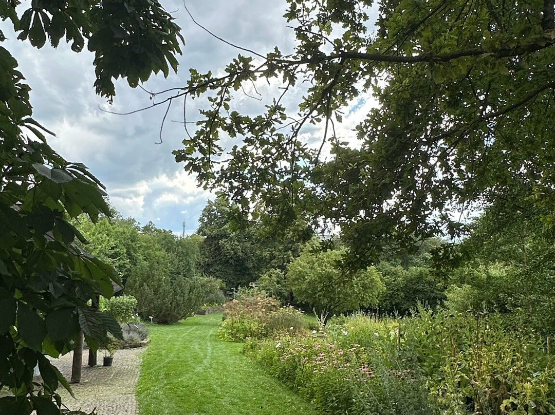 Apothekergarten Wiesbaden-威斯巴登必去景点