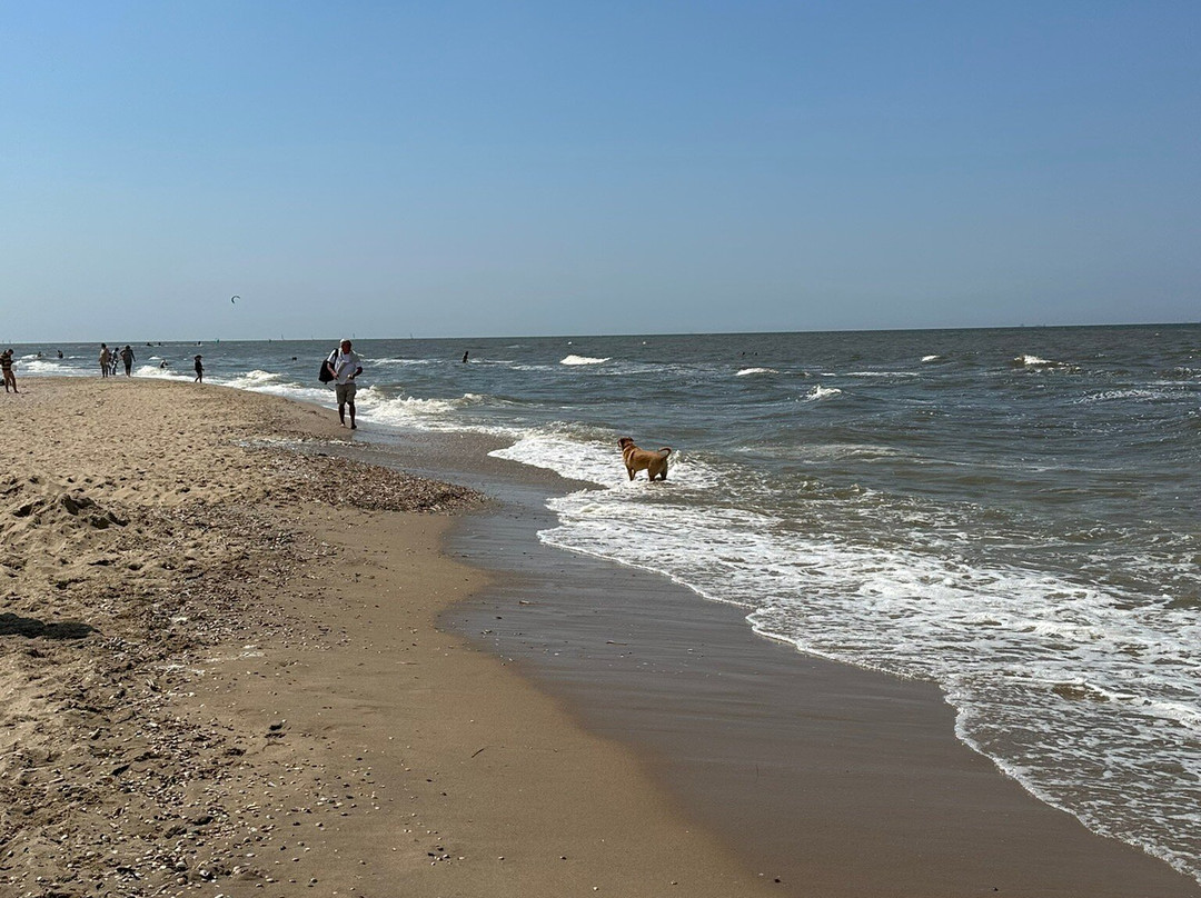 Strand Van Noordwijk-诺德韦克必去景点