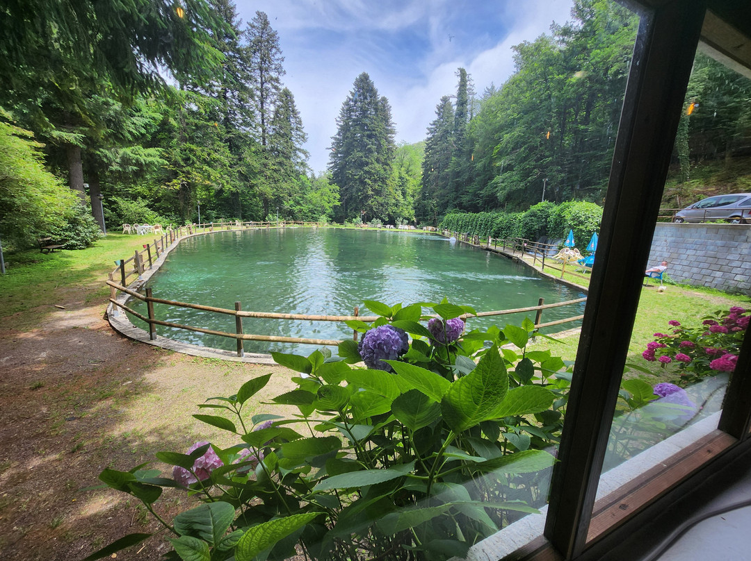 Laghetto di Pesca Sportiva Porchia景点图片