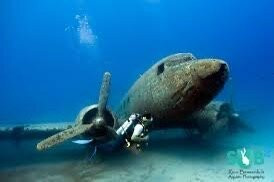 Aquapro Dive Center景点图片